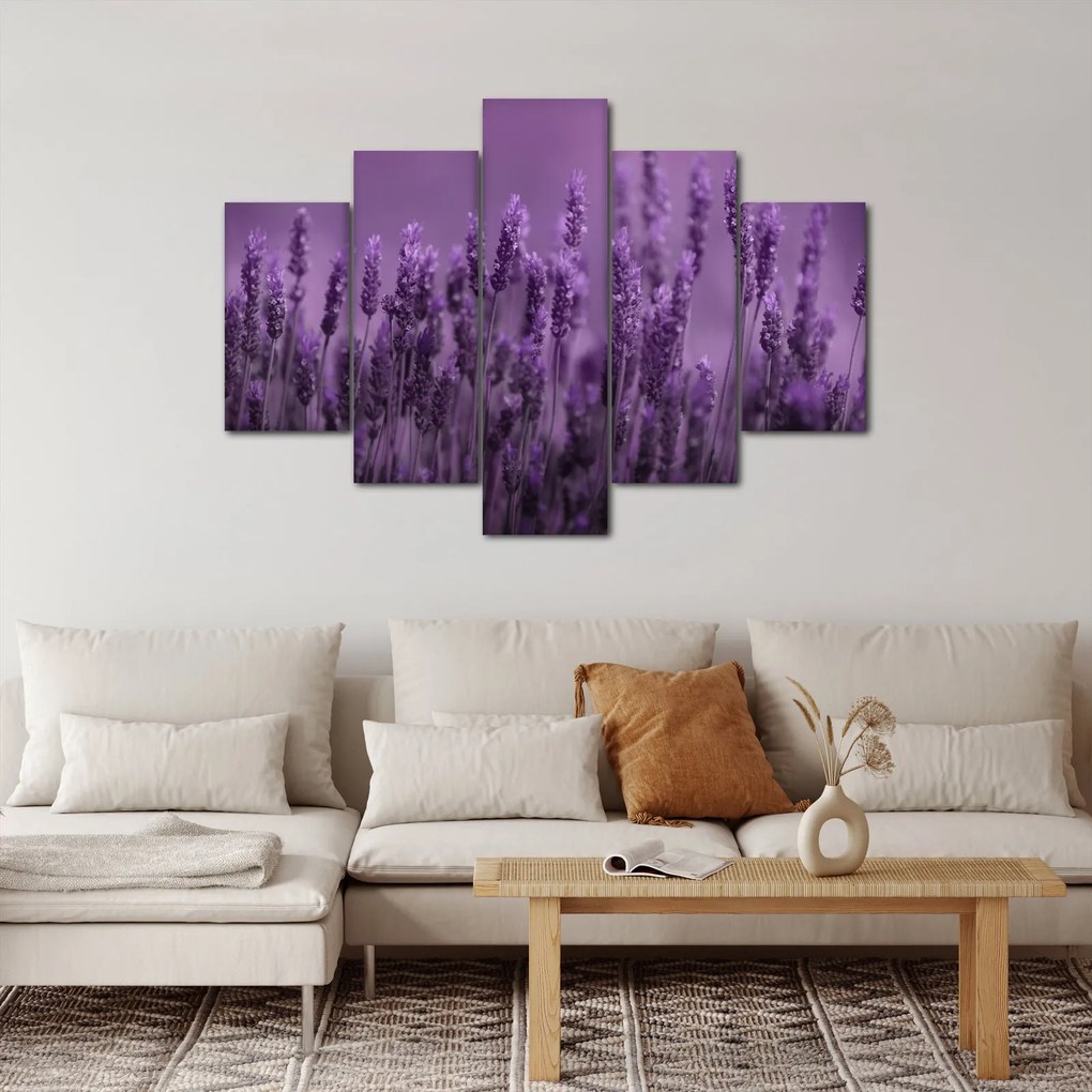 Obraz - Levanduľa (150x105 cm)