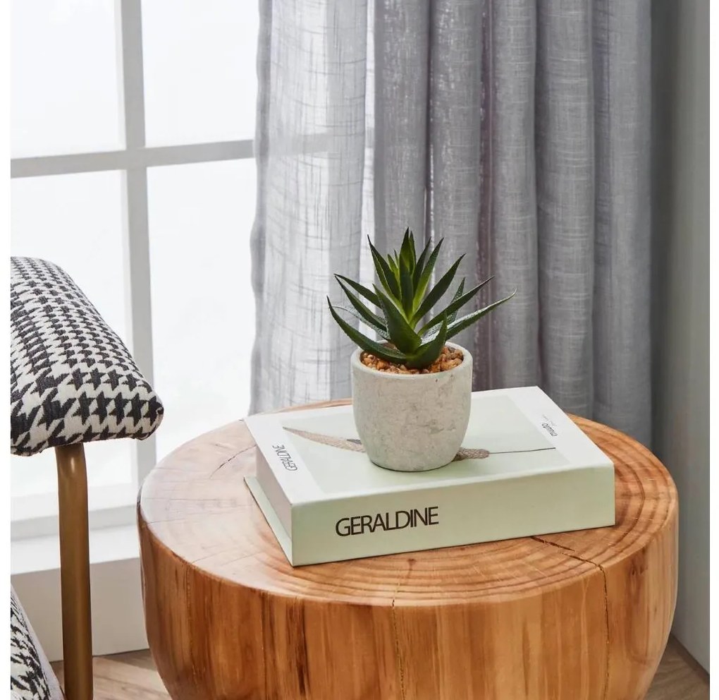 Eglo 428012 - Umelá rastlina v kvetináči CHITOSE 15,5x10 cm sukulent 428012