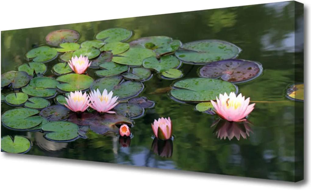 Obraz Canvas Vodní lilie rybník příroda