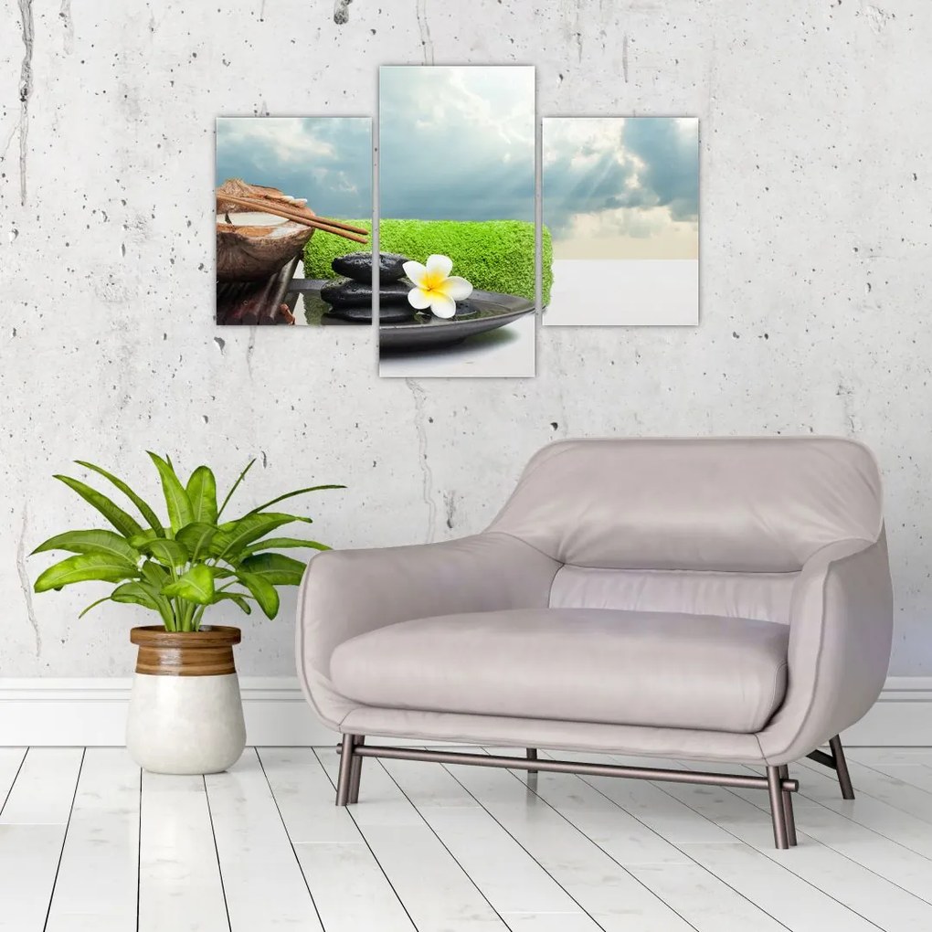 Obraz - Spa and relax (90x60 cm)