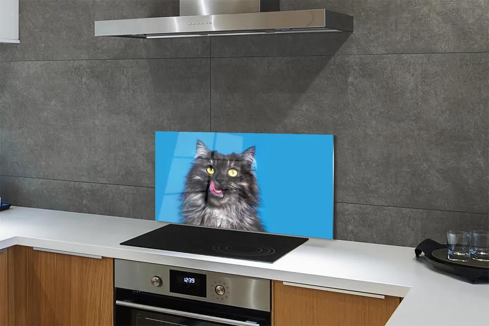 Nástenný panel  Oblizujący mačka 120x60 cm