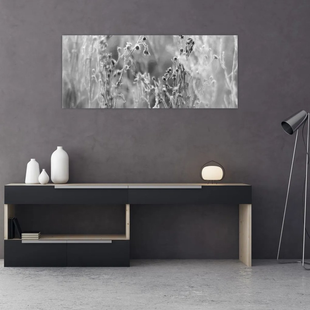 Obraz - Divoká lúka (120x50 cm)