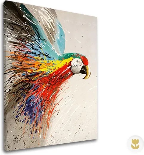 Autorská reprodukcia na plátne PAPAGÁJ