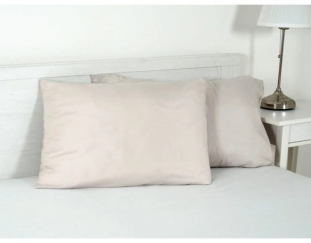 Obliečka na vankúš z mikrovlákna 45x75 cm Summer – B.E.S.