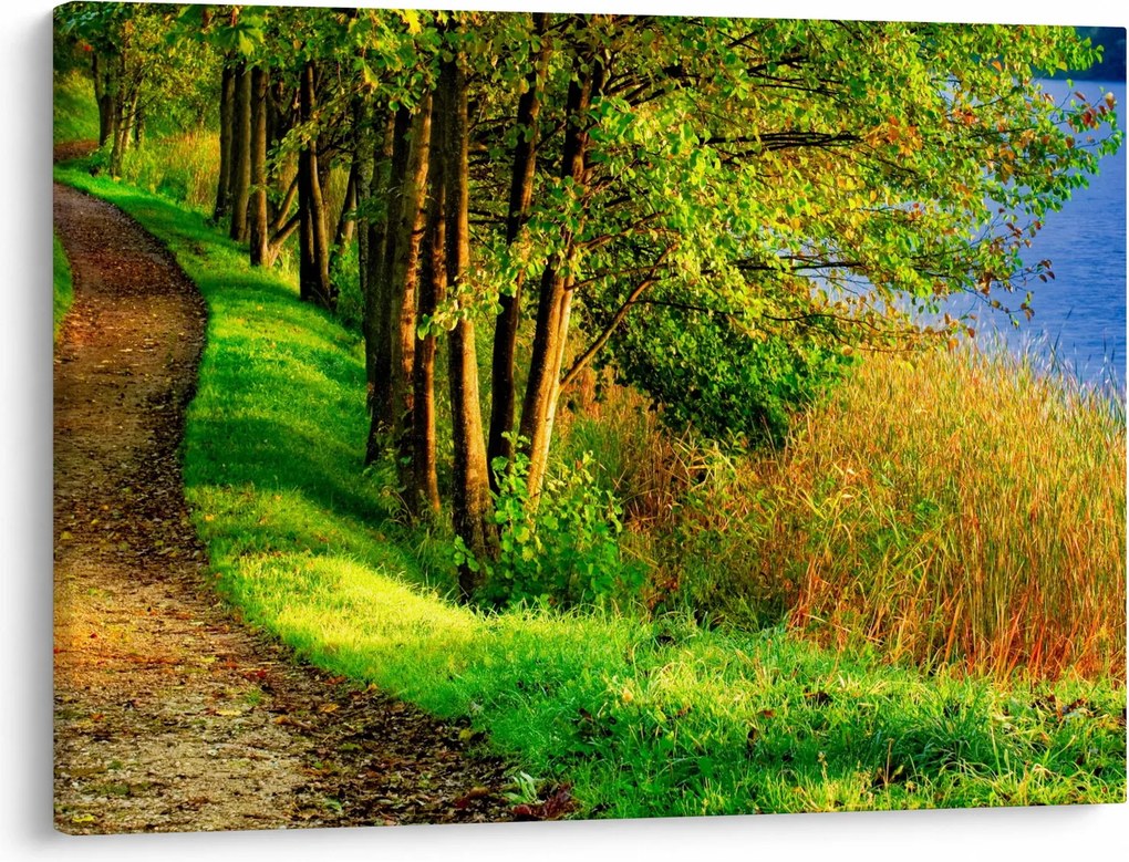 Obraz chodníky pozdĺž vody (70x50 cm)