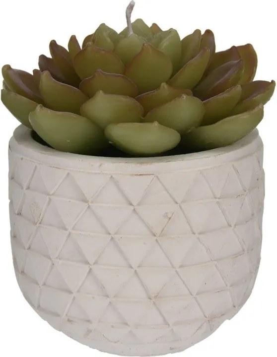 Darčeková sviečka Kaktus v kvetináči – typ 2, 14 cm