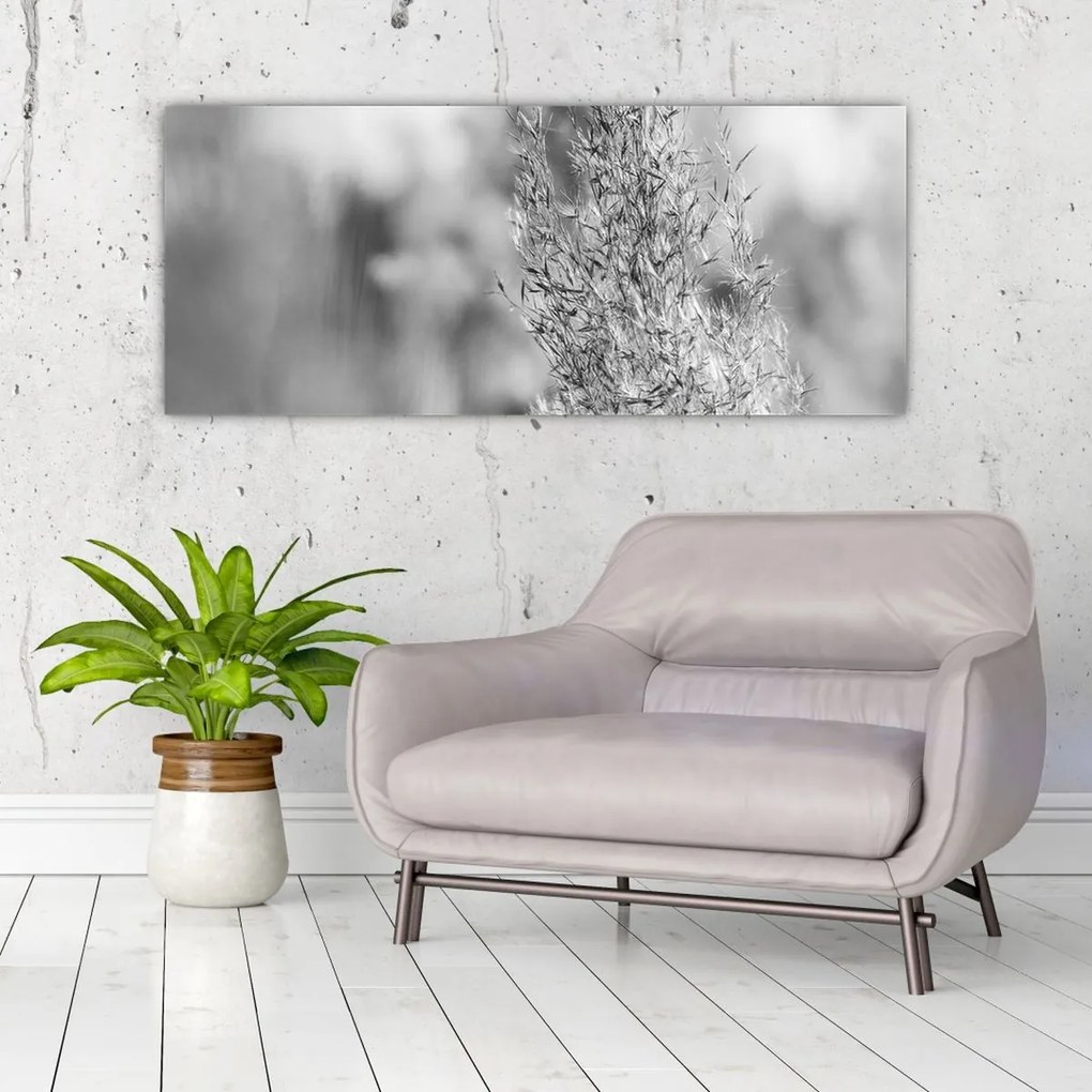 Obraz - Boho pampas grass (120x50 cm)