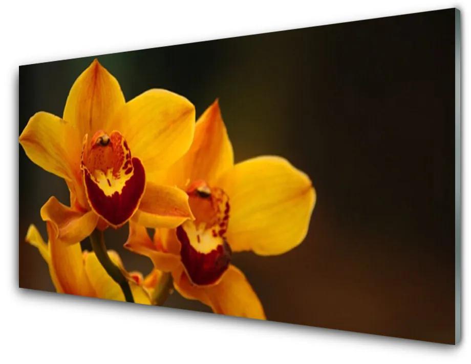 Obraz na skle Kvety rastlina 140x70cm
