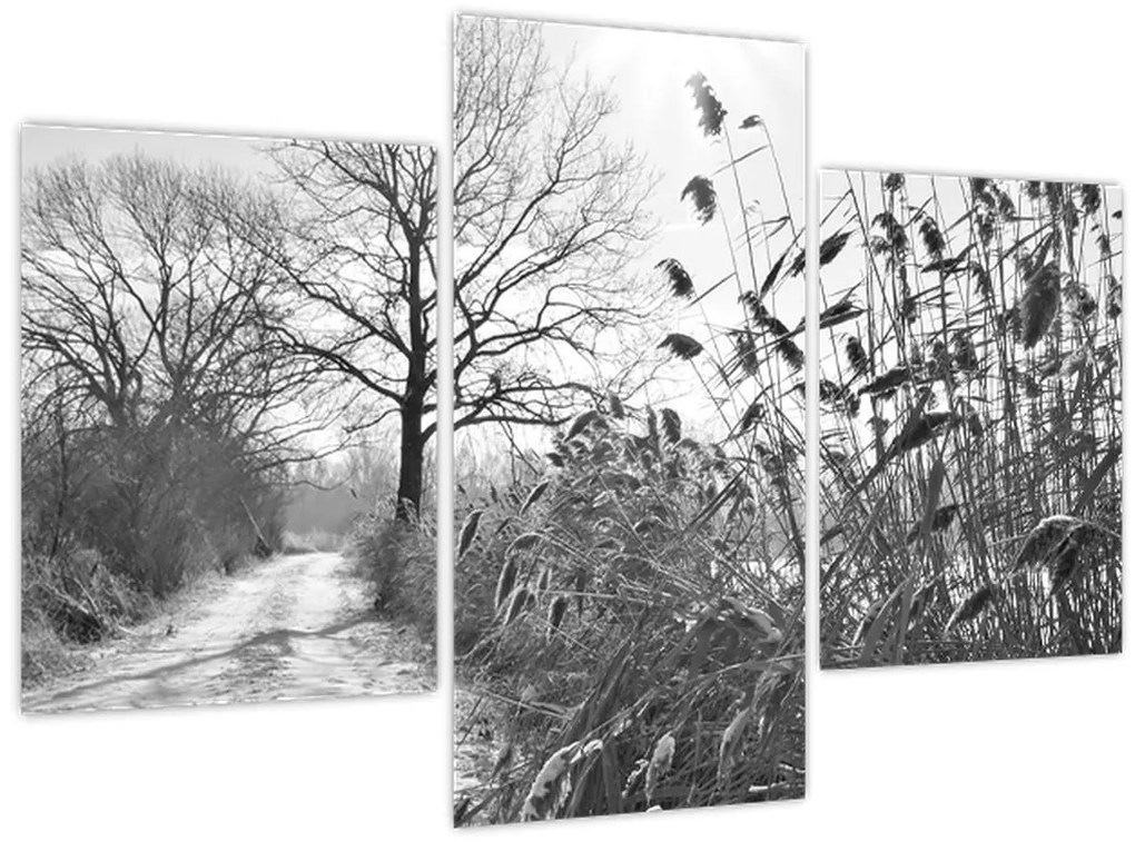 Obraz - Pole v zime (90x60 cm)