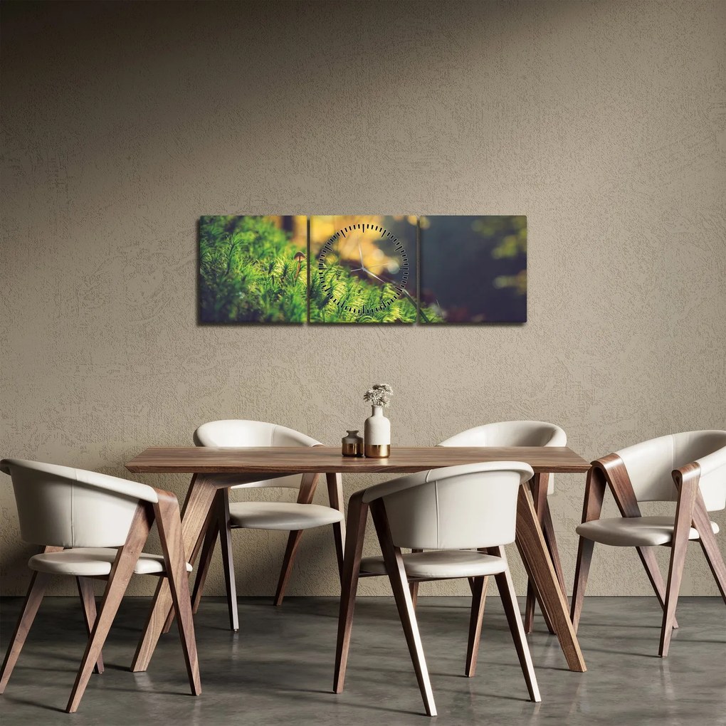 Obraz machu s hubou (s hodinami) (90x30 cm)
