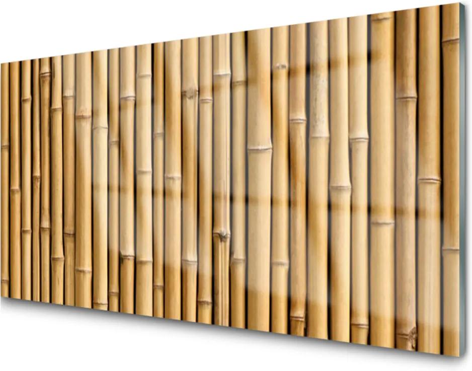 Plexisklo obraz Bambus rostlina příroda