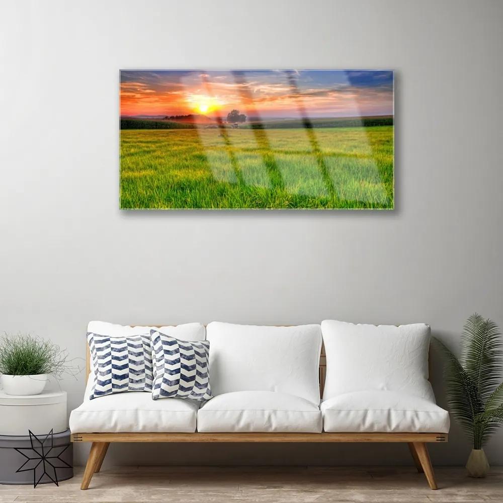 Obraz plexi Lúka slnko príroda 100x50 cm