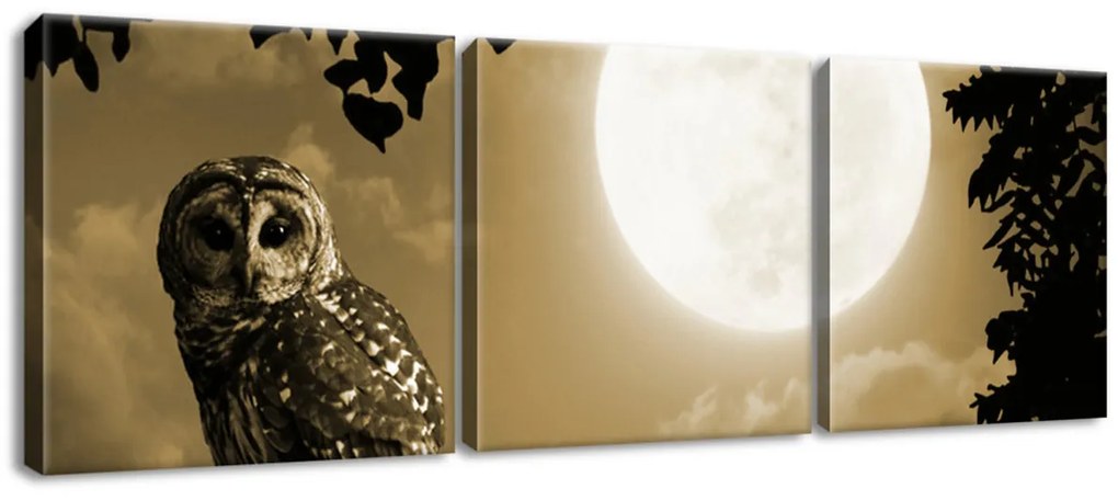 Gario 3 dielny obraz na plátne Sova na konári a spln mesiaca Veľkosť: 90 x 30 cm