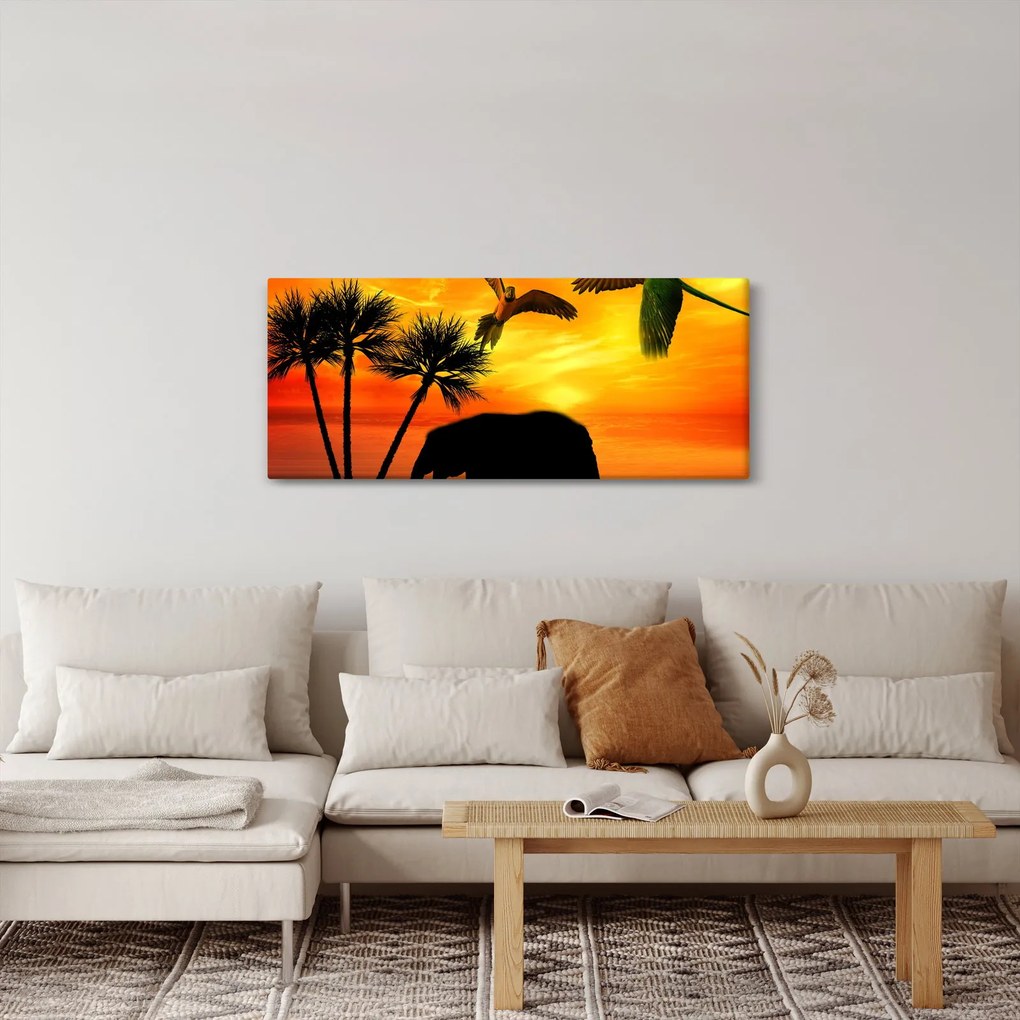 Obraz - papagáje a slony (120x50 cm)