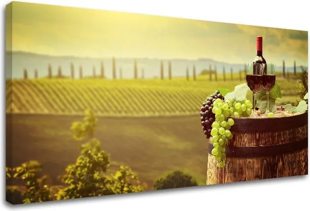 Obraz na stenu VINICE_083-11