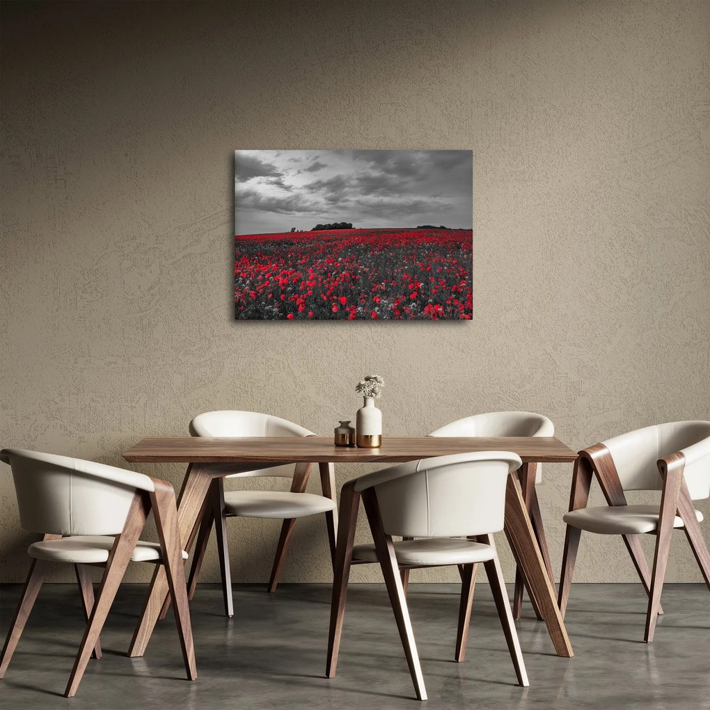 Obraz vlčích makov (70x50 cm)