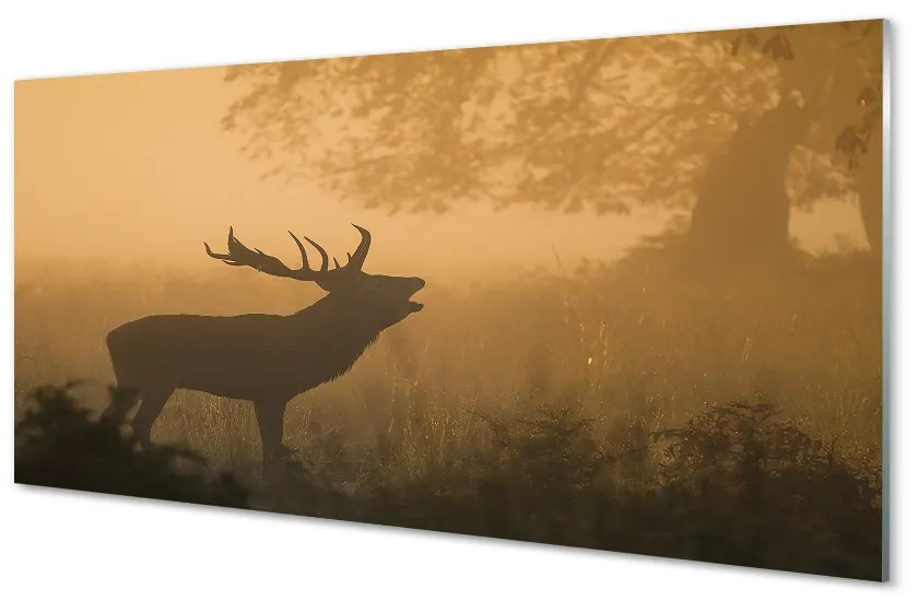 Obraz na akrylátovom skle Jeleň sunrise 120x60 cm