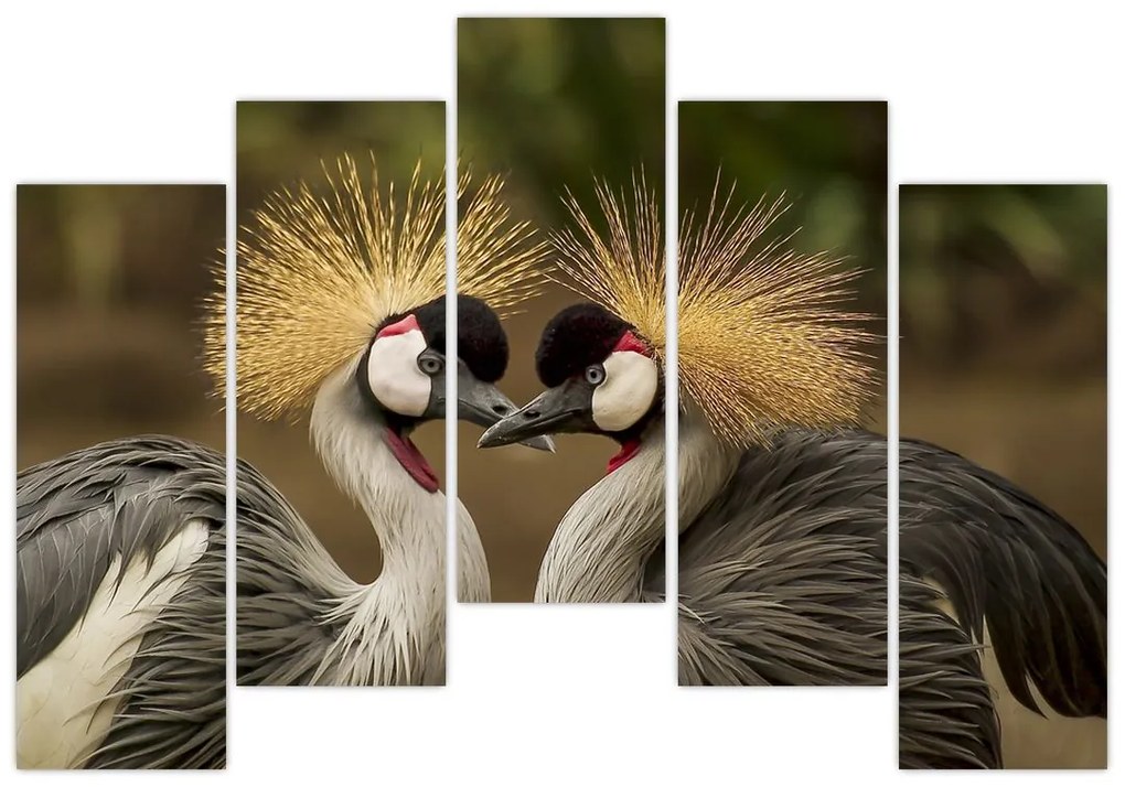 Obraz na stenu - zvieratá