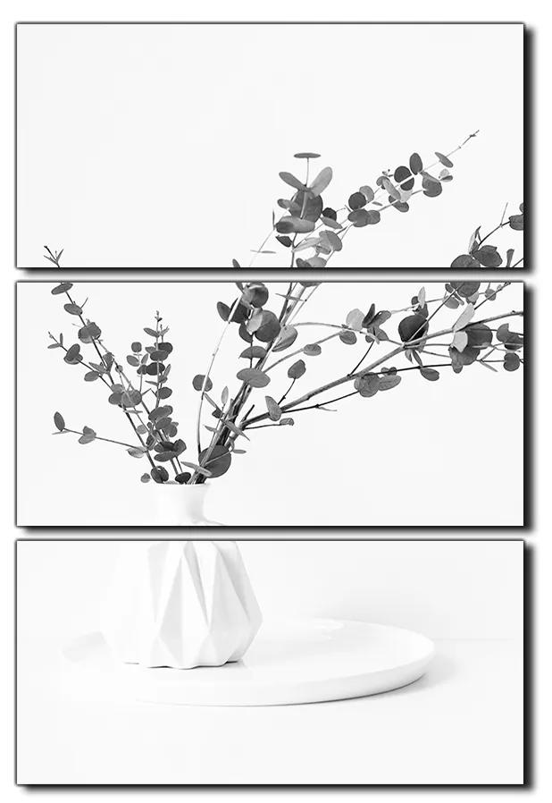 Obraz na plátne - Vetva eukalyptu v bielej váze na bielom pozadí - obdĺžnik 7272QB (120x80 cm)