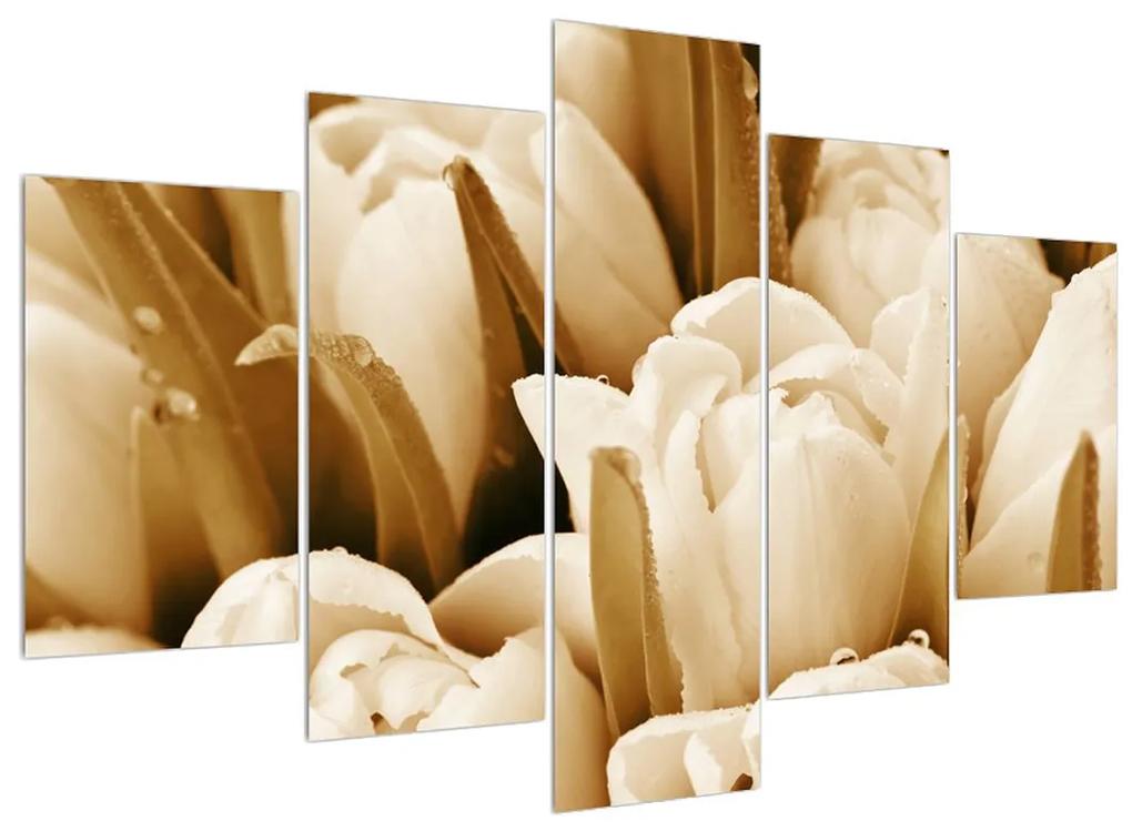 Obraz tulipánov (150x105 cm)