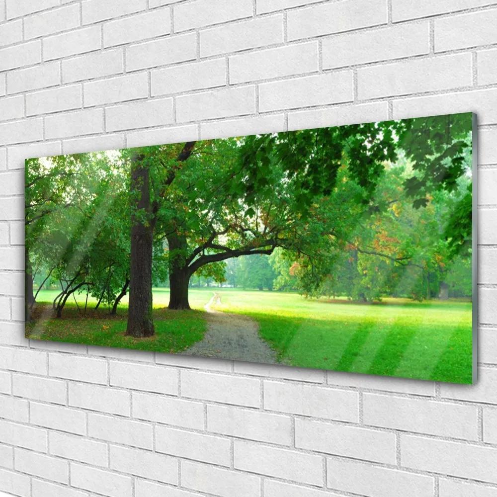 Obraz plexi Chodník stromy príroda 125x50 cm