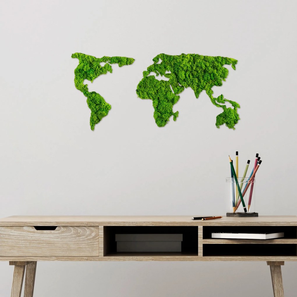 World Map