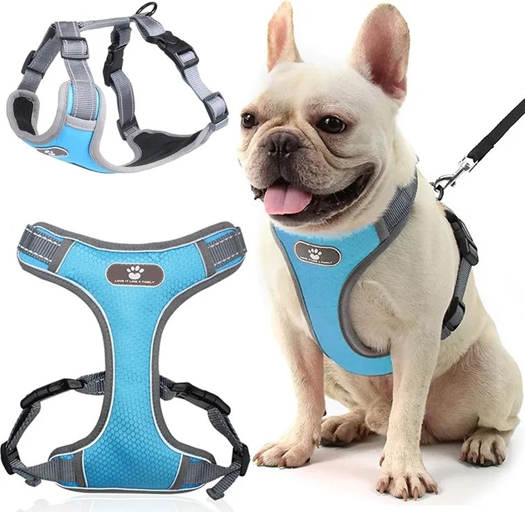 Beztlakový postroj pre psa ASTRO - modrý - rozmer M