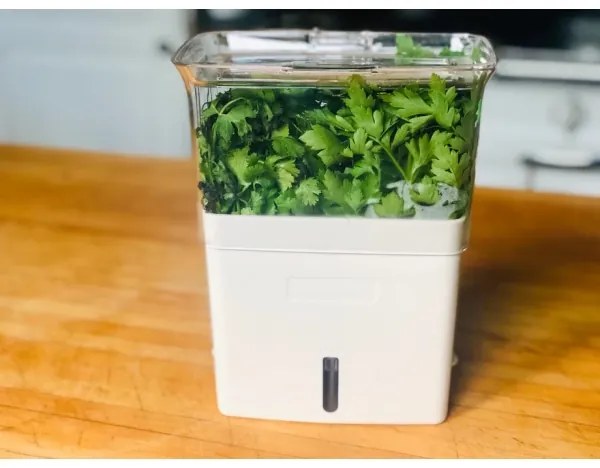 Cole&Mason - Nádoba na uchovanie rezaných byliniek