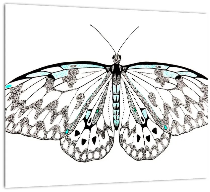 Čiernobiely motýľ