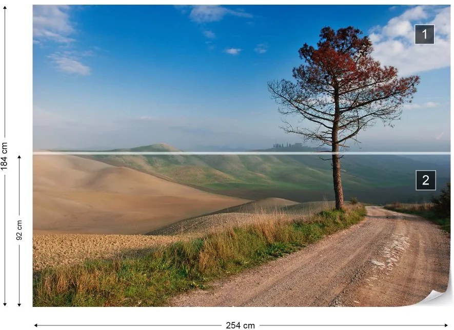 Fototapeta GLIX - Lonely Tree + lepidlo ZADARMO Vliesová tapeta  - 254x184 cm