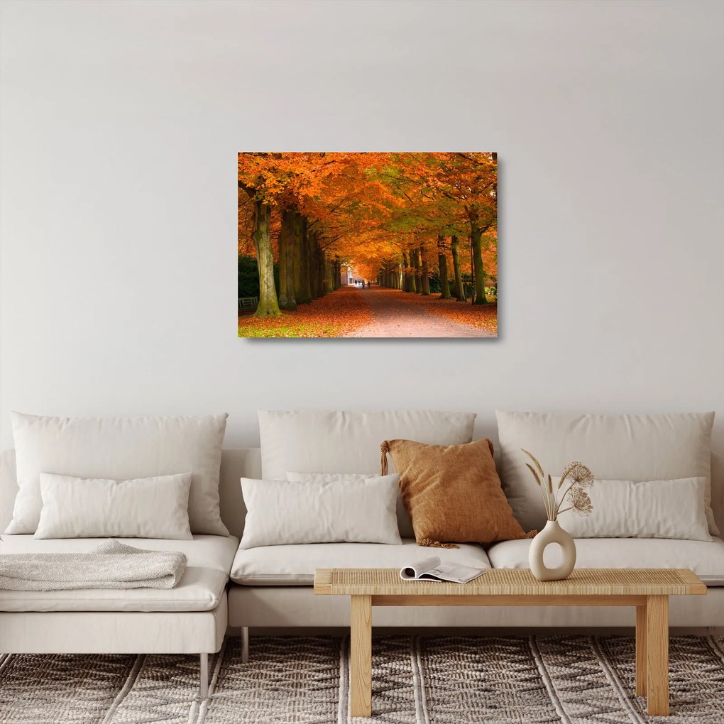 Sklenený obraz - Jeseň Alej stromov (70x50 cm)