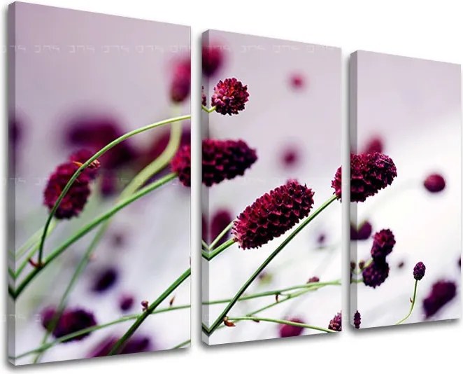 Obraz na stenu 3 dielny KVETY KV007E30 - 90x60 cm