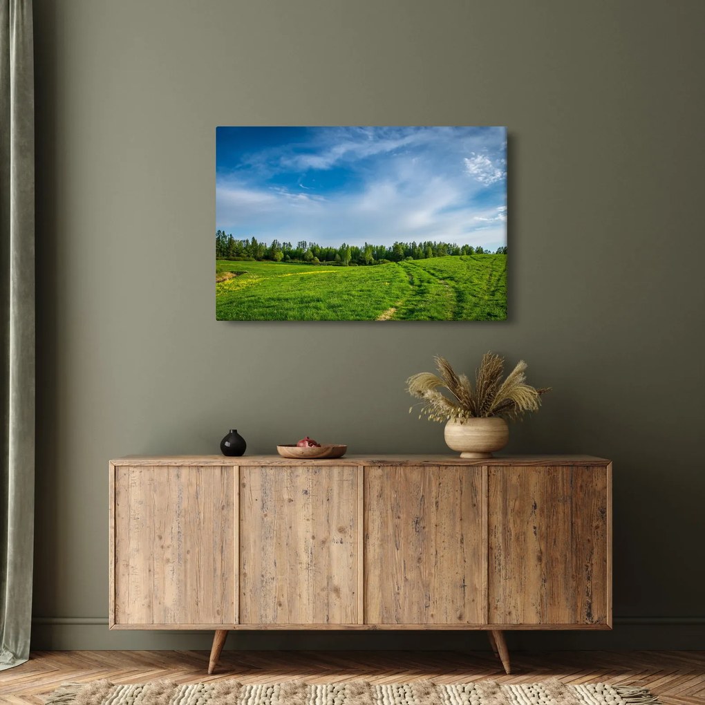 Obraz lúky (90x60 cm)