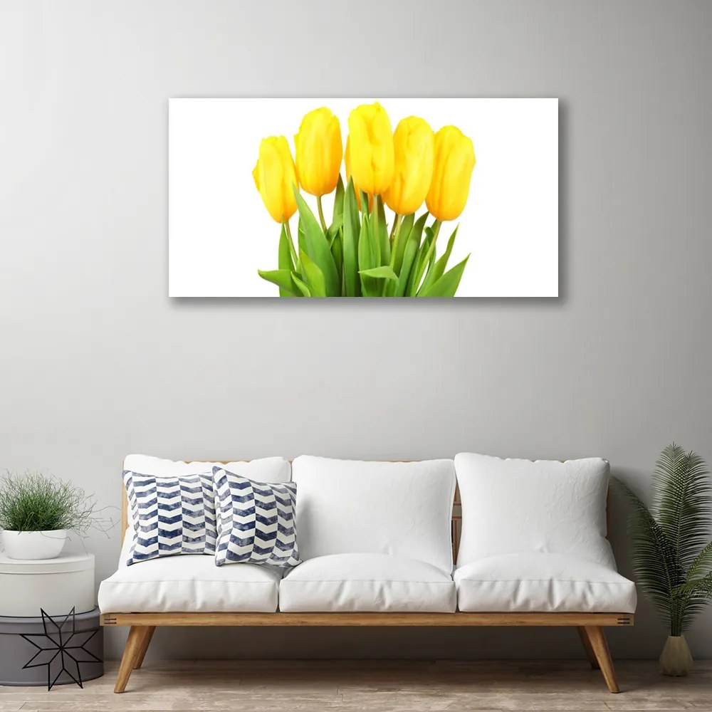 Obraz Canvas Tulipány kvety rastlina 100x50 cm