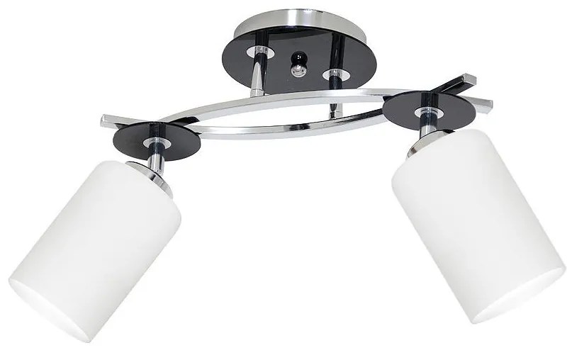 Stropné svietidlo TOKIO 2xE27/60W/230V