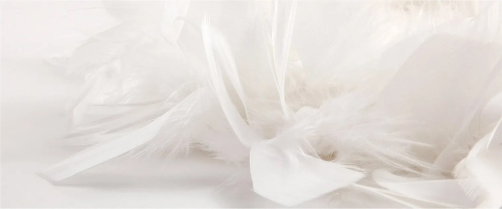 Obraz - Perie (120x50 cm)