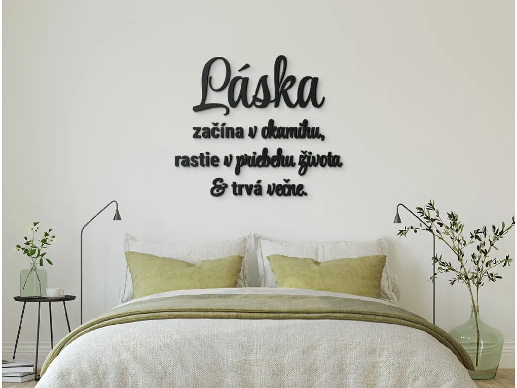 drevko Citát na stenu Láska začína v okamihu Rozmer obrazu: 51 x 60 cm, Farba dekorácie: Čierna
