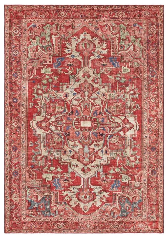 Červený koberec Nouristan Leta, 200 x 290 cm | BIANO