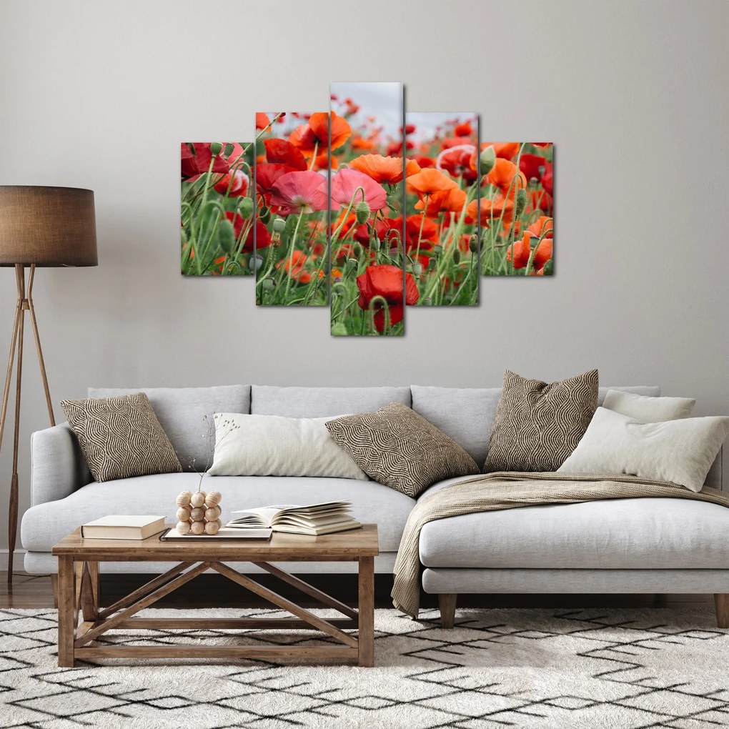 Obraz z poľa vlčích makov (150x105 cm)