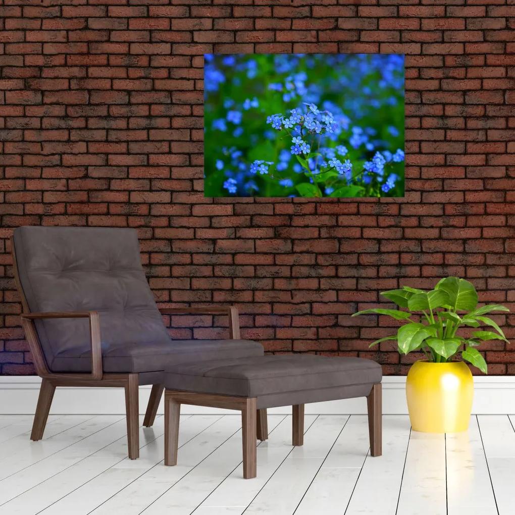 Sklenený obraz modrých kvetín (70x50 cm)