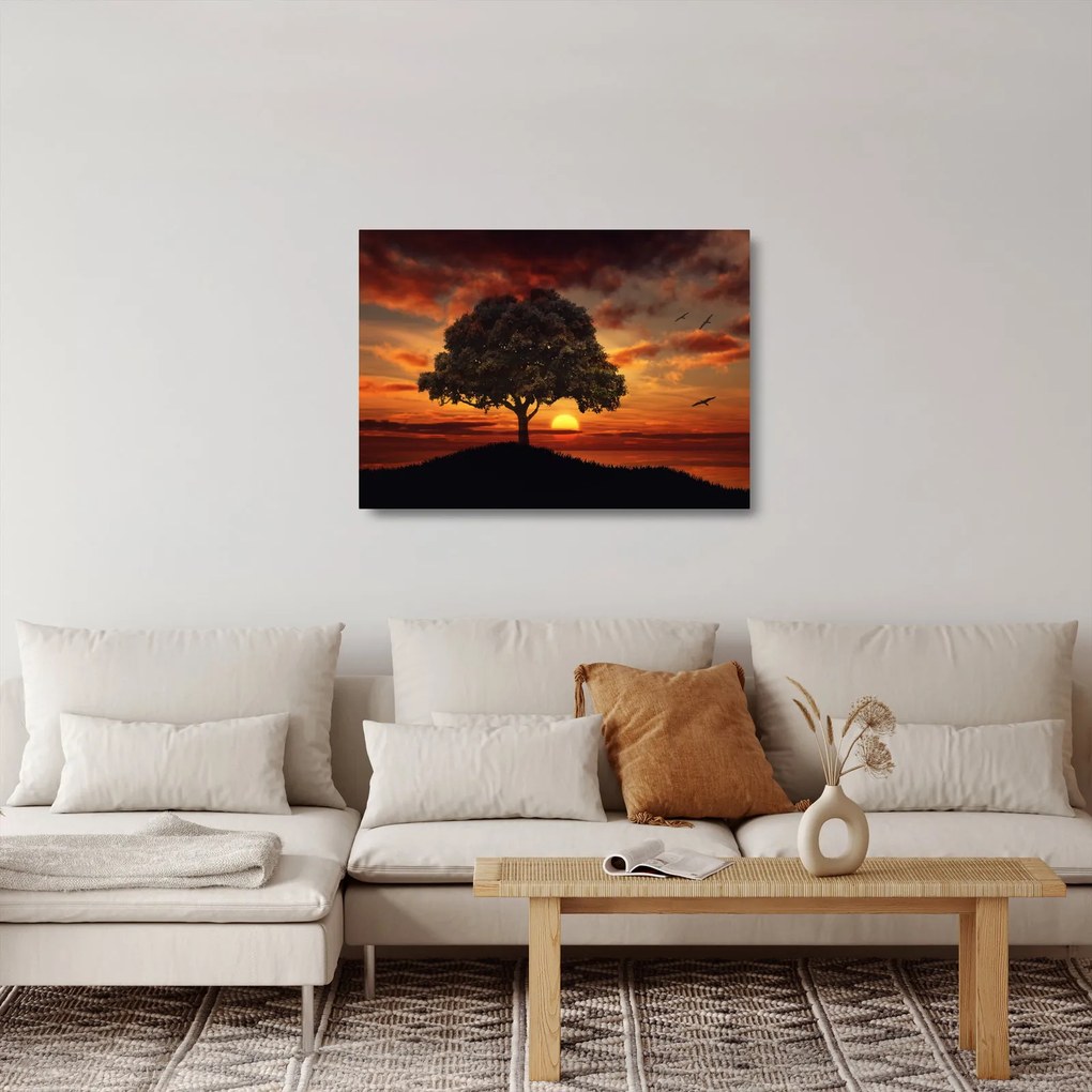 Sklenený obraz stromu pri západe slnka (70x50 cm)