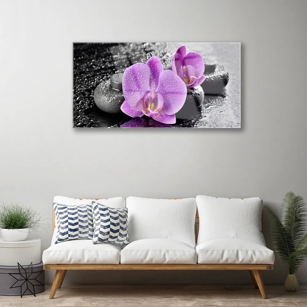 Obraz plexi Orchidea kvety kamene zen 100x50 cm