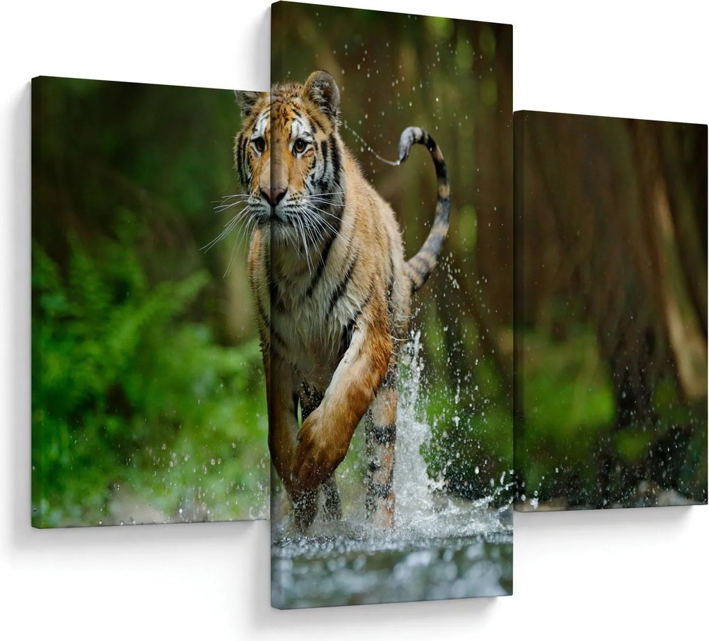 Obraz bežiaceho tigra (90x60 cm)