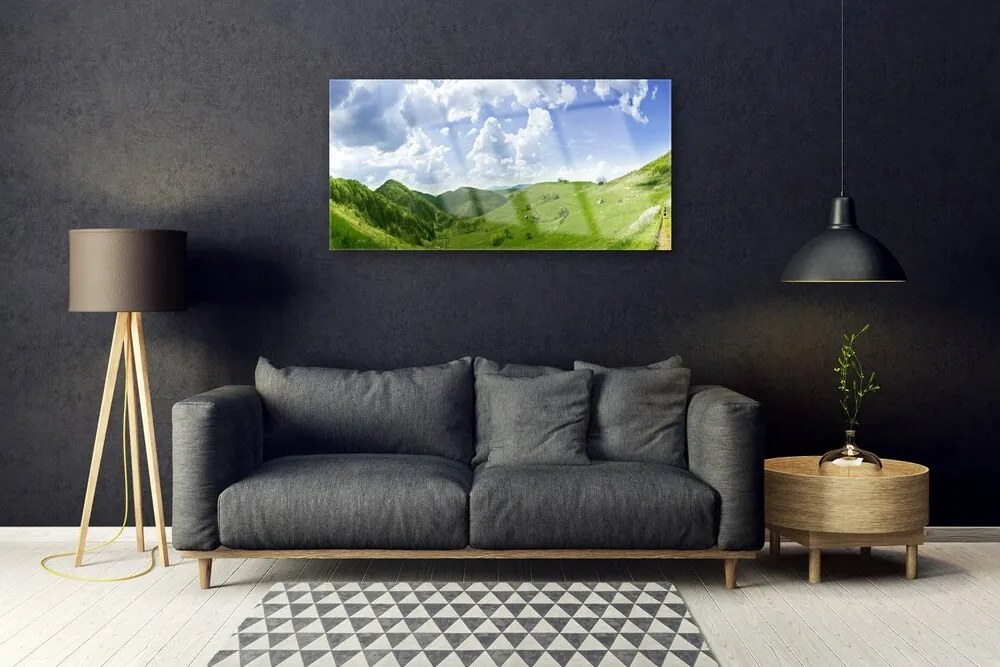 Skleneny obraz Hora lúka príroda 125x50 cm