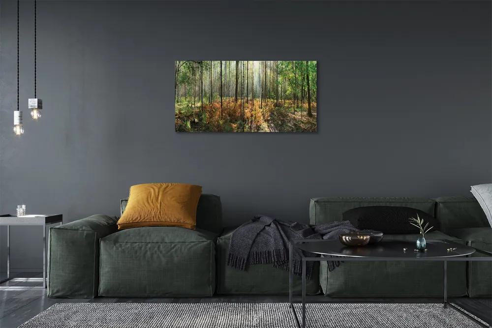 Obraz canvas les breza 120x60 cm