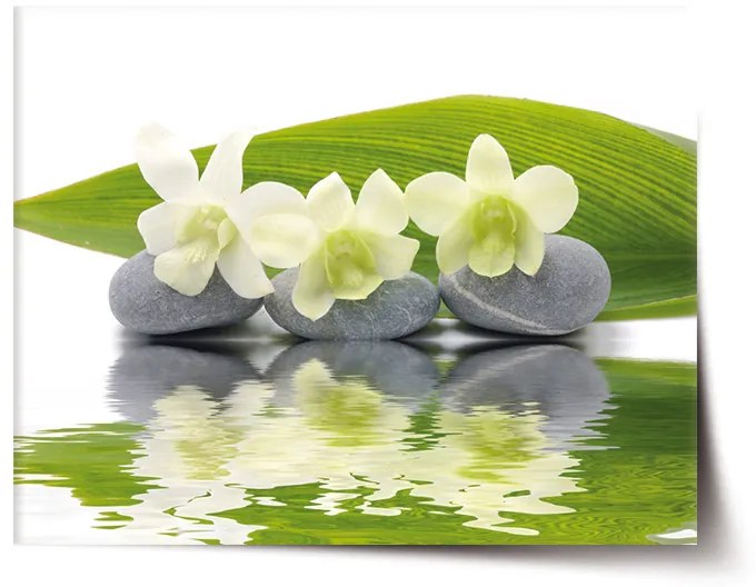 Sablio Plagát Biela orchidea - 90x60 cm