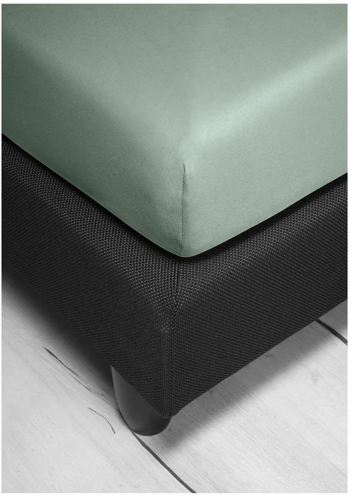 Bierbaum jersey plachta celadon - 140-160 x 200 cm