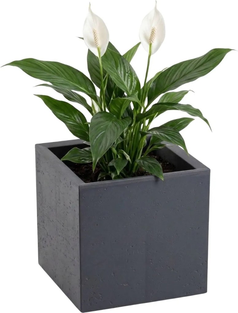 Sada 2 ks květináčů BETONIQUE 30x30/30x60 cm - výber z 4 prevedení