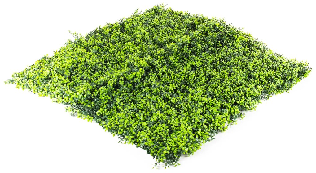 Umelý živý plot Hawaj Buxus | stena 100 x 100 cm
