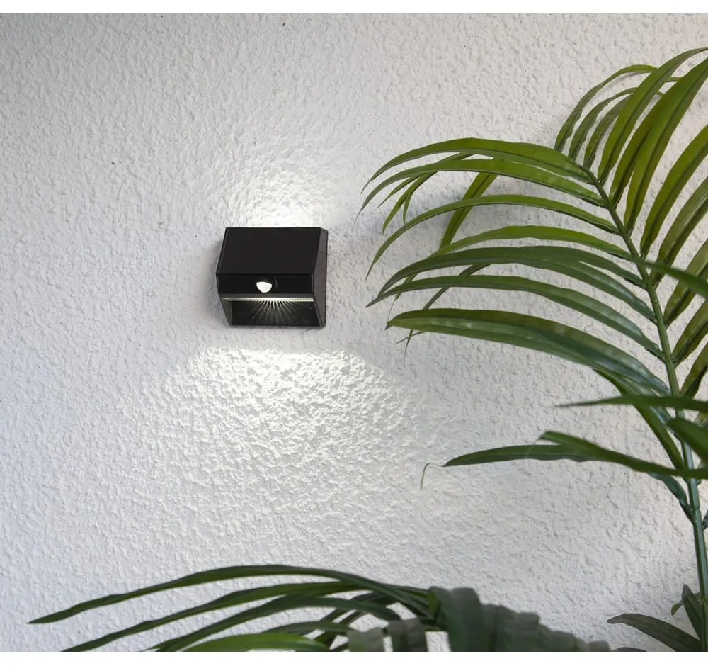 Nástenné solárne LED svietidlo Star Trading Wally, výška 11 cm